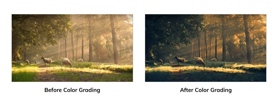 color grading before/after
